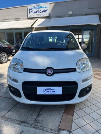 Fiat Panda 1.2 Easy usata