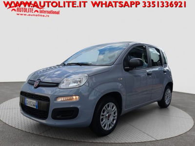 Fiat Panda 1.2 Easy usata