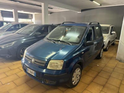 Fiat Panda 1.2 Dynamic usata