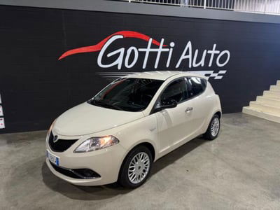 Lancia Ypsilon 1.2 69 CV 5 porte Platinum usata