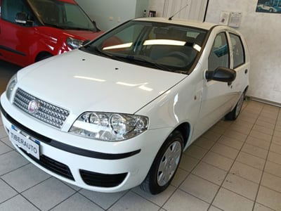 Fiat Punto Classic 1.2 5 porte Natural Power Active usata