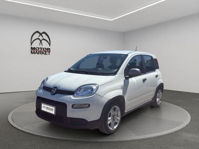 Fiat Panda Cross Cross 1.0 FireFly S&S Hybrid usata