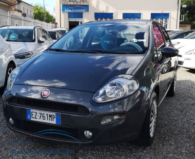 Fiat Punto 1.2 8V 5 porte Street usata