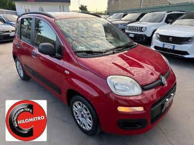 Fiat Panda 1.2 EasyPower Pop usata