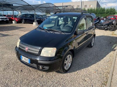 Fiat Panda 1.2 Alessi usata