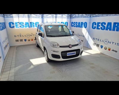 Fiat Panda 1.2 Easy Van 4 posti usata