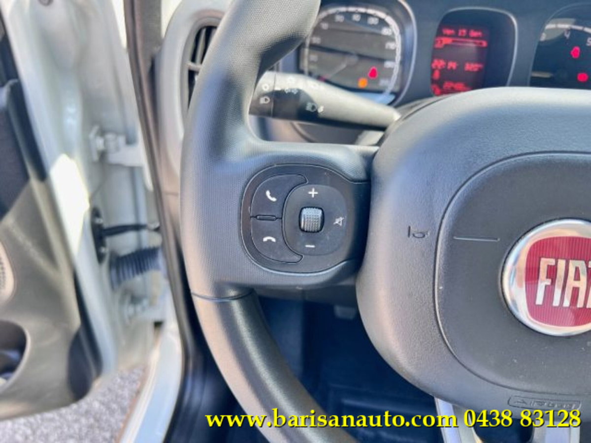 Fiat Panda 0.9 TwinAir Turbo S&S 4x4 Wild (12)