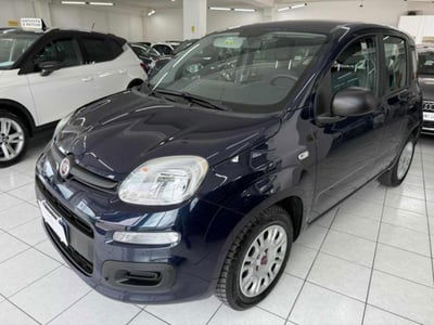 Fiat Panda 1.2 Easy usata