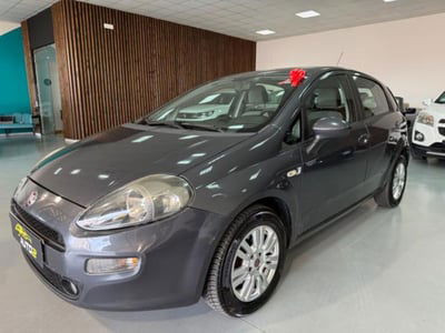 Fiat Punto 1.3 MJT II S&S 95 CV 5 porte Easy usata