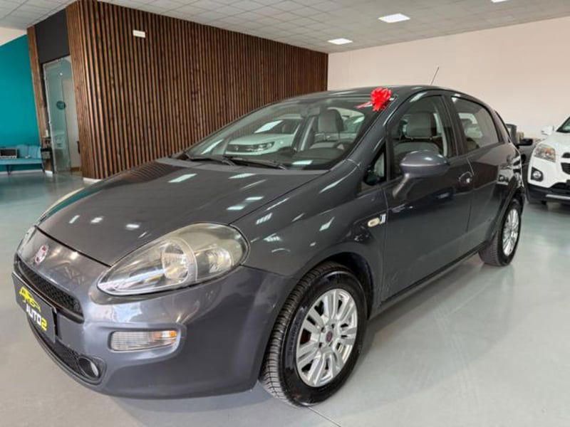 Fiat Punto 1.3 MJT II S&S 95 CV 5 porte Easy