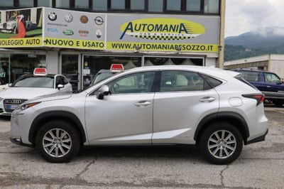 Lexus NX Hybrid usata