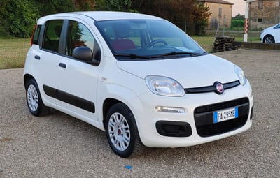 Fiat Panda 1.2 Lounge usata