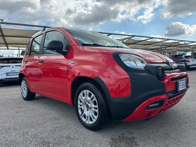 Fiat Panda 1.2 Trussardi usata
