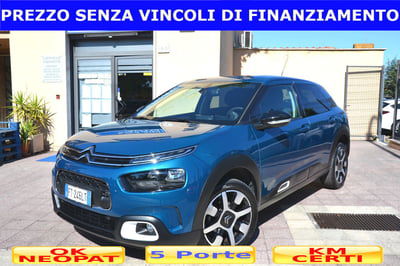 Citroen C4 Cactus BlueHDi 100 S&S Shine usata