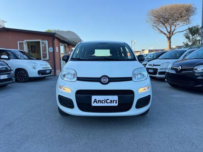 Fiat Panda 1.2 Easy usata