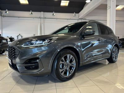 Ford Kuga 2.0 EcoBlue 120 CV aut. 2WD ST-Line X usata