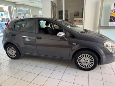 Fiat Punto 1.2 8V 5 porte Street usata