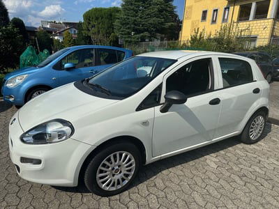 Fiat Punto 1.2 8V 5 porte Young usata