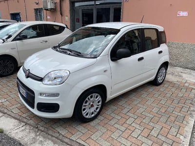 Fiat Panda 1.0 FireFly S&S Hybrid Easy usata