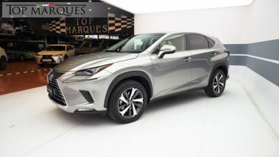 Lexus NX Hybrid 4WD Luxury usata