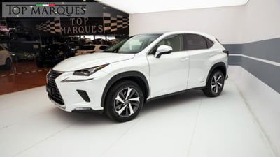 Lexus NX Hybrid 4WD Luxury usata