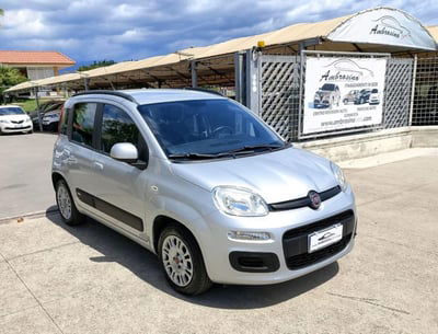 Fiat Panda 1.2 Lounge usata