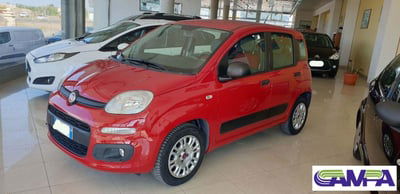 Fiat Panda 1.2 Easy usata