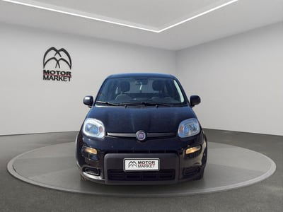 Fiat Panda Cross Cross 1.0 FireFly S&S Hybrid usata