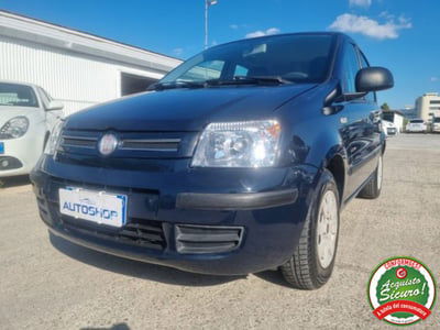Fiat Panda 1.2 Active usata