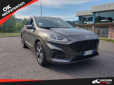 Ford Kuga 1.5 EcoBlue 120 CV 2WD ST-Line usata