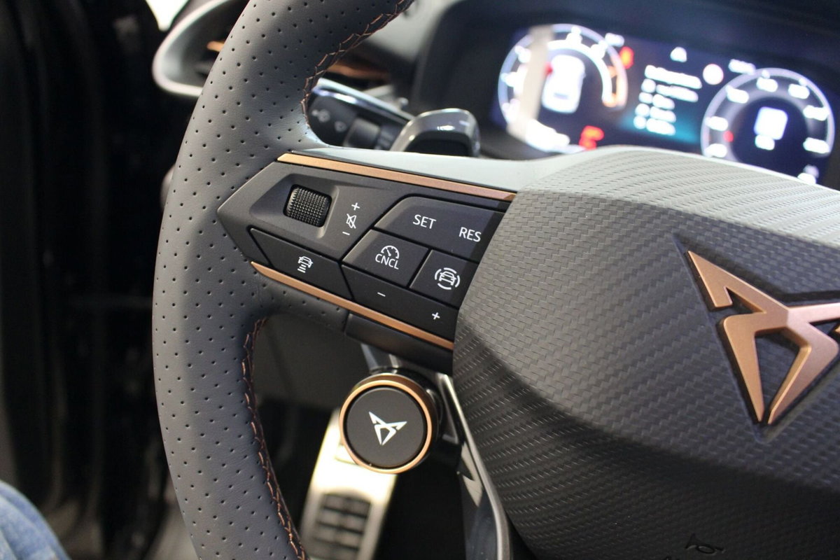 Cupra Terramar 1.5 hybrid 150cv dsg (13)