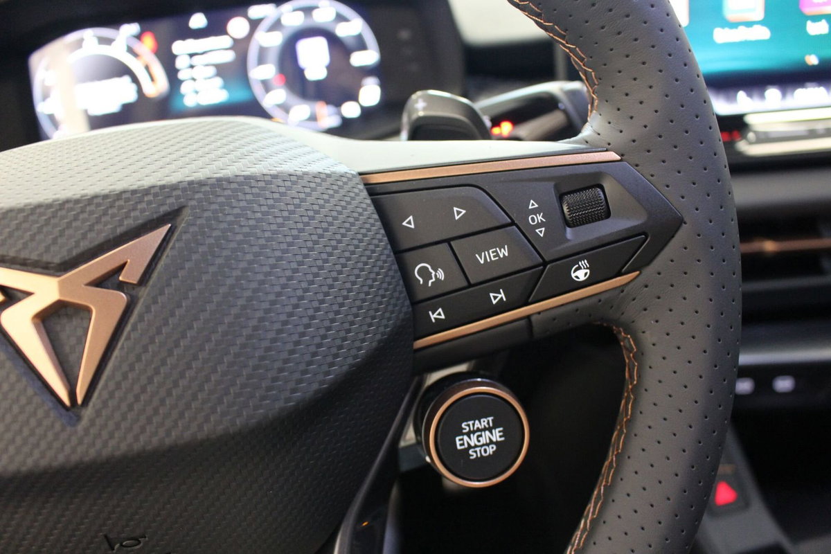 Cupra Terramar 1.5 hybrid 150cv dsg (14)