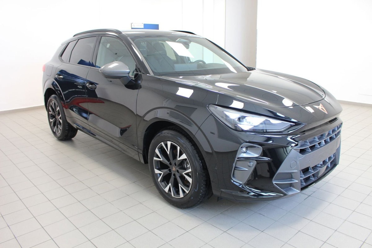 Cupra Terramar 1.5 hybrid 150cv dsg (3)