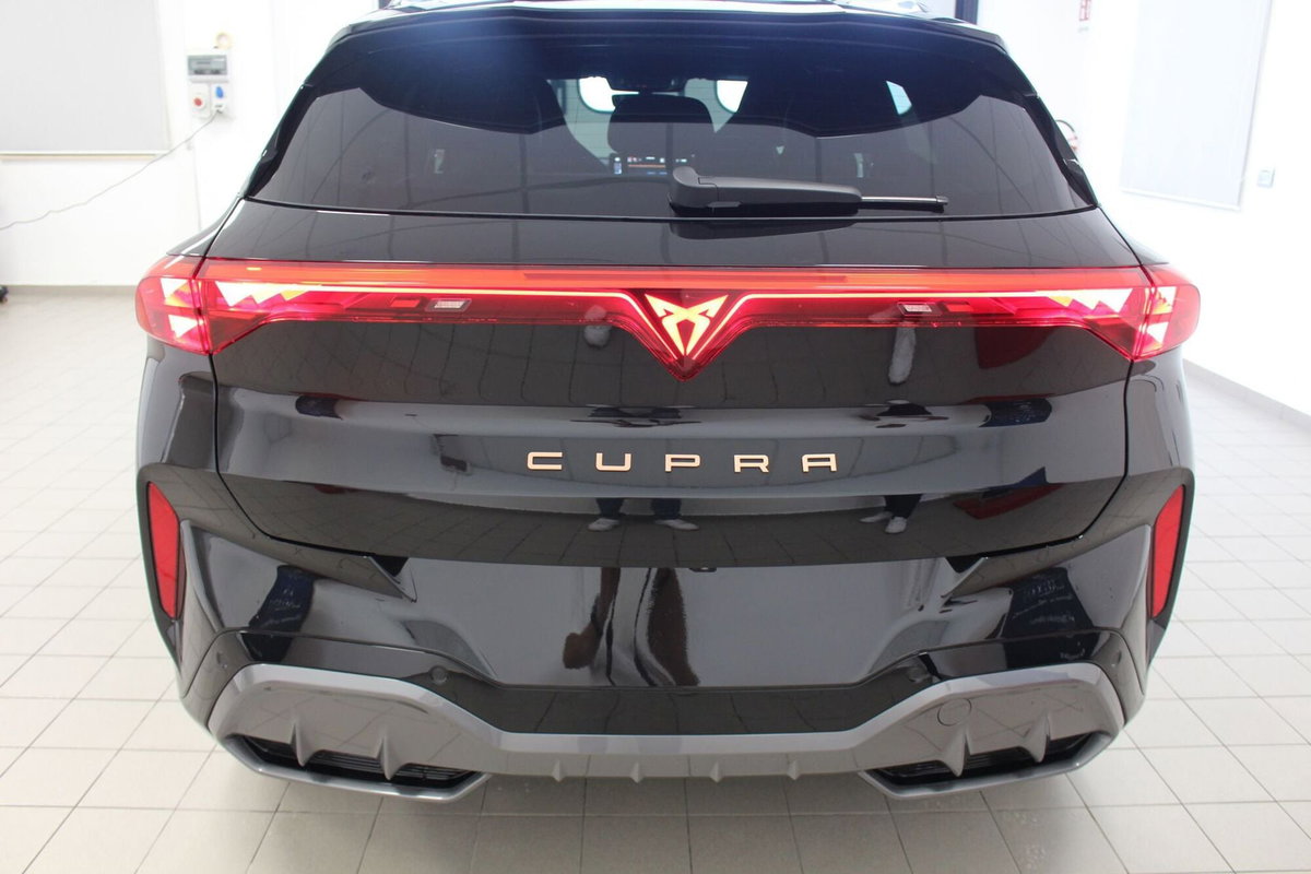 Cupra Terramar 1.5 hybrid 150cv dsg (5)