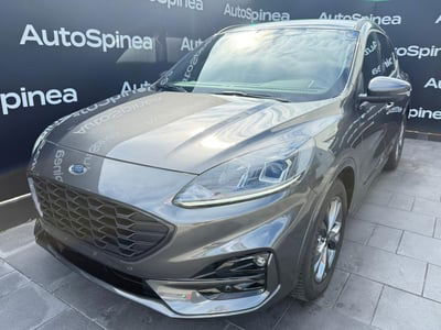 Ford Kuga 2.0 EcoBlue 120 CV aut. AWD ST-Line usata