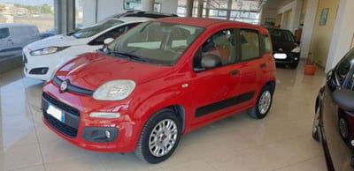 Fiat Panda 1.2 Easy usata