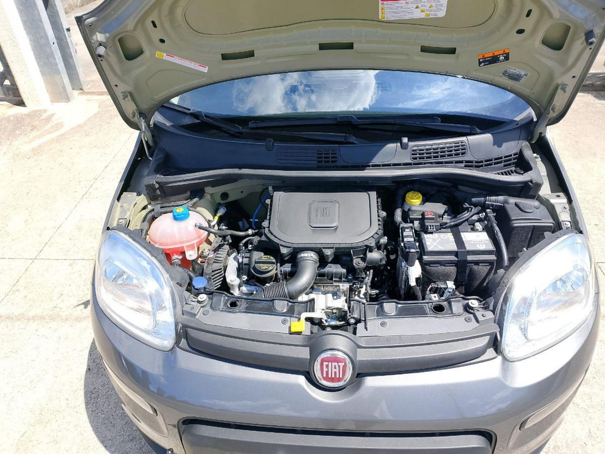 Fiat Panda 1.0 firefly hybrid Pop s&s 70cv (17)