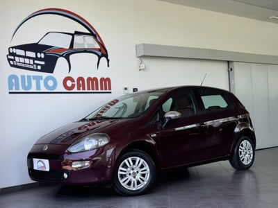 Fiat Punto 1.2 8V 5 porte Lounge usata