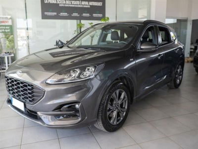 Ford Kuga 1.5 EcoBlue 120 CV aut. 2WD ST-Line X Design