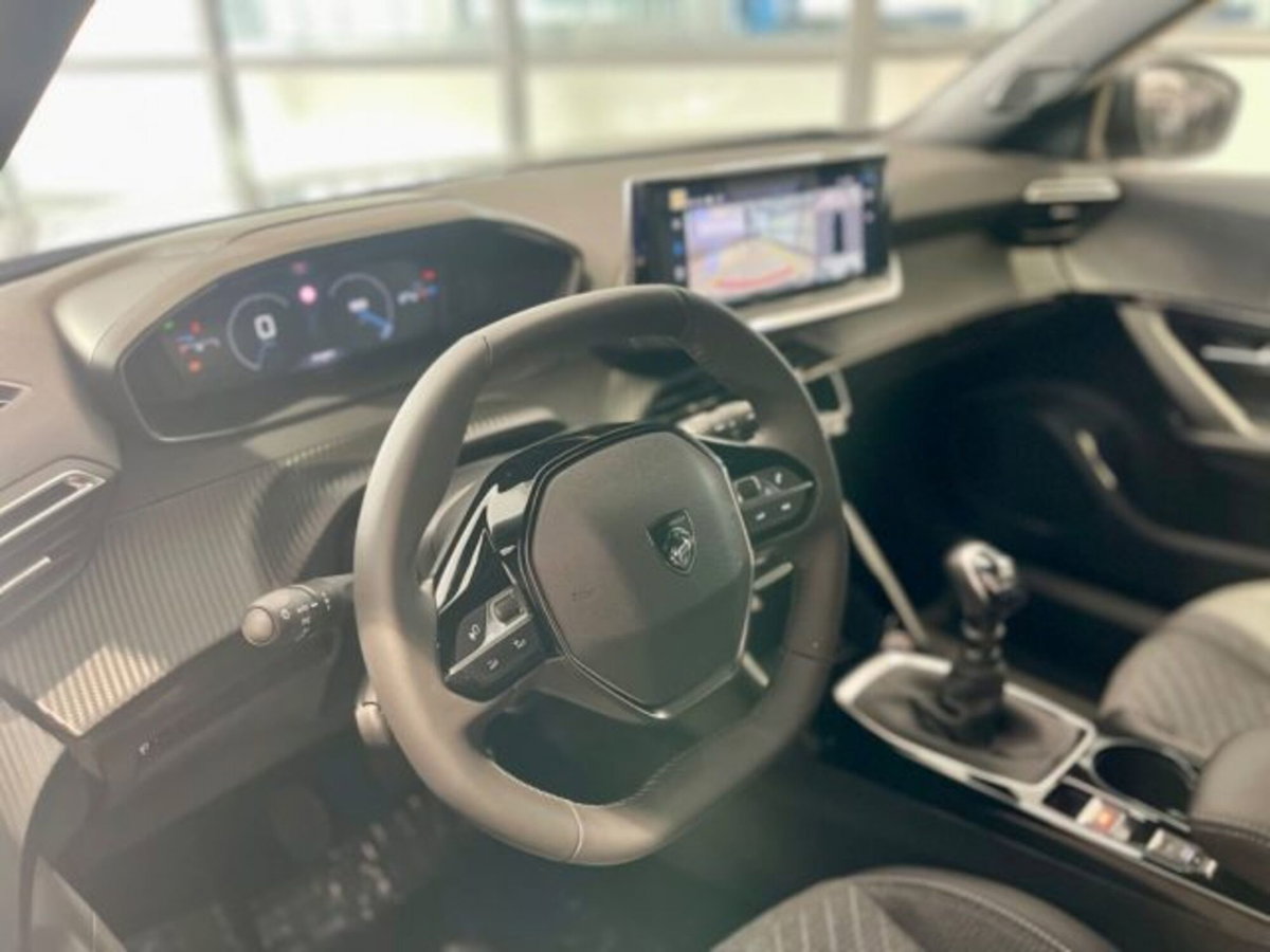 Peugeot 2008 PureTech 100 S&S Allure (17)