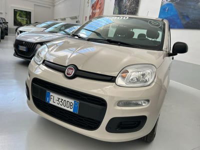 Fiat Panda 1.2 Easy usata