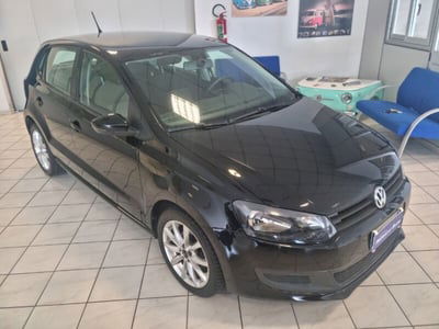 Volkswagen Polo 1.2 TDI DPF 5 p. Trendline usata