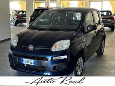 Fiat Panda 1.2 Easy usata