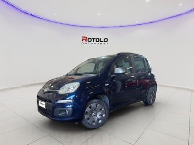 Fiat Panda 1.2 EasyPower K-Way usata