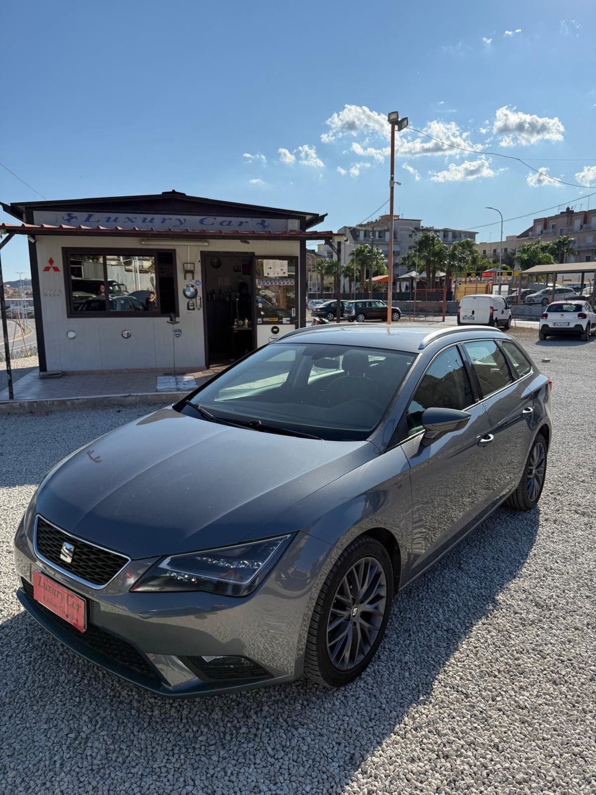 SEAT Leon ST 1.6 TDI 110 CV DSG Start/Stop Style (3)