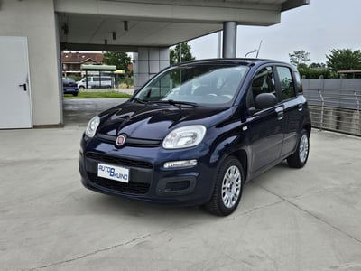 Fiat Panda 1.2 Easy usata