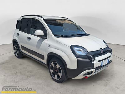 Fiat Panda Cross Cross 1.0 FireFly S&S Hybrid usata