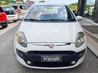 Fiat Punto Evo 1.3 Mjt 75 CV 5 porte Active usata