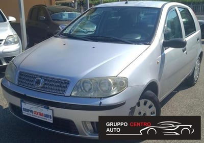 Fiat Punto 1.2 5 porte Active usata