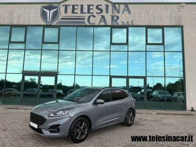Ford Kuga 1.5 EcoBlue 120 CV 2WD ST-Line